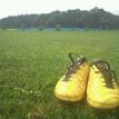 MY SHOES F50 ADIZERO TRX HG LEA